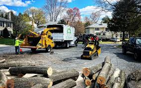 Best Lawn Grading and Leveling  in Brownsville, TX