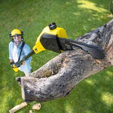 Best Artificial Turf Installation  in Brownsville, TX