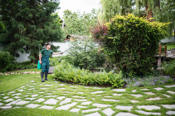 Best Landscape Design and Installation  in Brownsville, TX